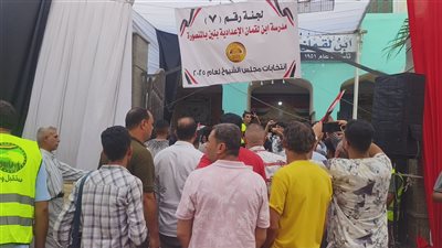 إقبال على لجان انتخابات مجلس الشيوخ 2025 بعد ساعة الراحة بالدقهلية (صور) 