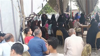 استئناف العمل باللجان الفرعية بعد ساعة راحة قضائية بمدينة دمياط