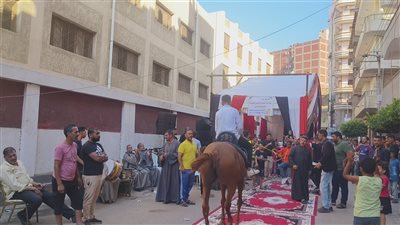 بالغوريلا والحصان، احتفالات أمام لجان انتخابات الشيوخ بالمنصورة (صور)