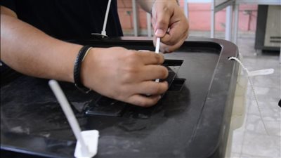 إجراءات فرز الأصوات في انتخابات مجلس الشيوخ بعد غلق صناديق الإقتراع 