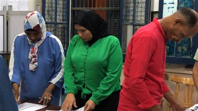 بدء فرز أصوات الناخبين باللجان الفرعية في الإسكندرية 