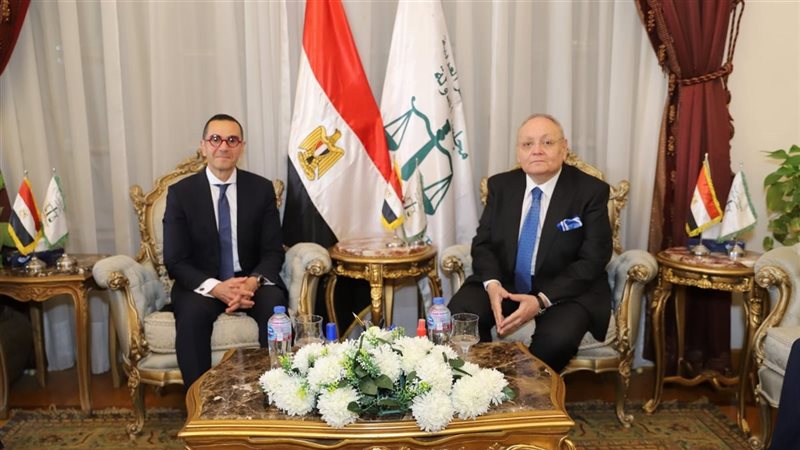 مجلس الدولة