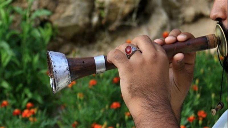 تفسير حلم المزمار