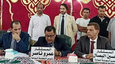 مؤشرات فرز أصوات انتخابات مجلس الشيوخ بالبحيرة 