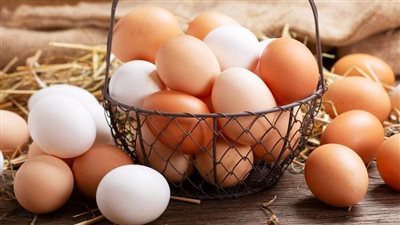 تمرد الأبيض والأحمر على مبادرة التخفيض، أسعار البيض اليوم الأربعاء في بورصة الدواجن