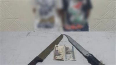القبض على شقيقين بتهمة الترويج للمواد المخدرة وحيازة أسلحة بيضاء بالقاهرة 