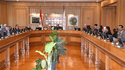  رؤية مصر 2030، مجلس جامعة حلوان يستعرض تقريرا عن جائزة التميز الداخلي 