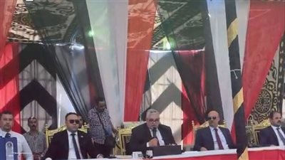 اللجنة العليا المشرفة على انتخابات مجلس الشيوخ بالقليوبية تعلن الحصر العددي للنتائج 