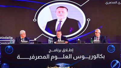رئيس جامعة حلوان: برنامج العلوم المصرفية يؤهل جيلا من الكوادر المهنية المواكبة للتطورات 