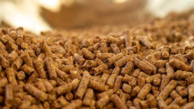 ارتفاع الذرة وانخفاض الصويا والردة، أسعار الأعلاف والحبوب اليوم في الأسواق