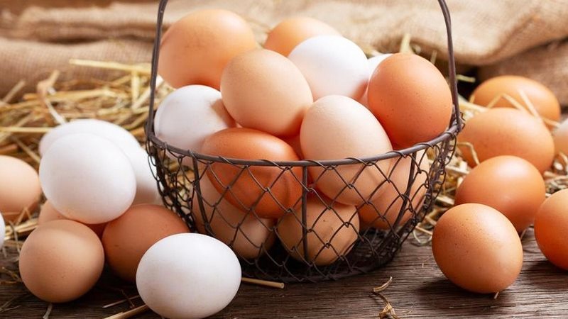 سعر كرتونة البيض