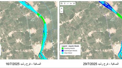 الري تبحث استخدام جوجل لرصد الحشائش في مجرى النيل 