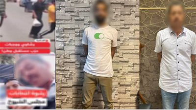 ضبط إخواني بتهمة نشر فيديو مضلل للتشكيك في انتخابات الشيوخ 