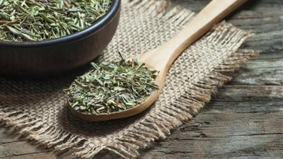  استشاري: الزعتر به مادة مطهرة قوية ويحمي من البكتيريا والفيروسات 