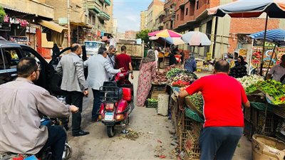 محافظ الدقهلية يتفقد مستوى الخدمات المقدمة للمواطنين بطلخا