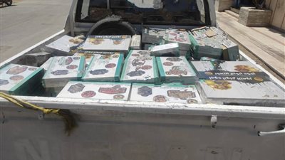 حماية المستهلك يضبط نصف طن تمور فاسدة بالوادي الجديد