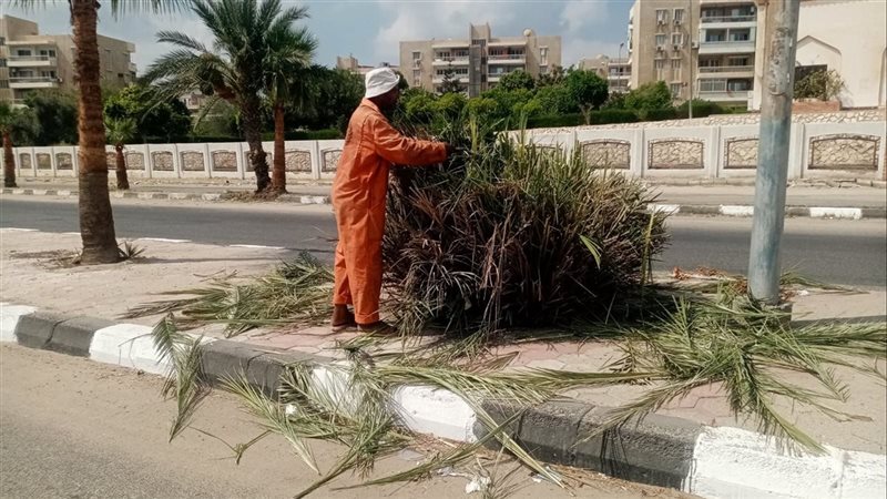 جانب من أعمال التجميل،