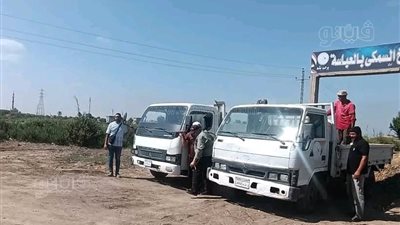 إنزال نصف مليون زريعة بلطي و300 ألف مبروك في المسطحات المائية بالشرقية