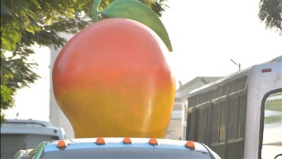 جمهور الإسماعيلية يثني على عروض الدراجات بمهرجان المانجو (صور) 