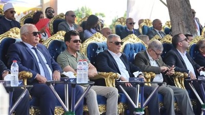 محافظ الوادي الجديد يُشارك بمهرجان الإسماعيلية للمانجو 2025