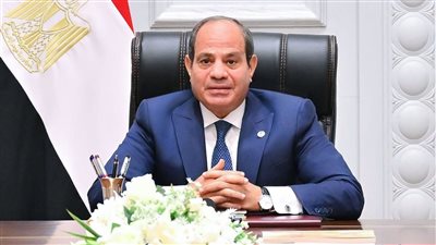 مصر وتركيا تشددان على رفض تهجير الفلسطينيين