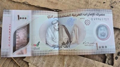 سعر الدرهم الإماراتي أمام الجنيه في البنك المركزي