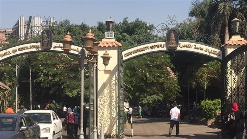 القصر العيني، فيتو