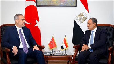 وزير الخارجية يؤكد ضرورة ضمان حرية الملاحة في البحر الأحمر