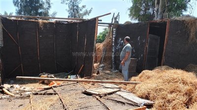  انطلاق المرحلة الأولى من الموجة الـ27 لإزالة التعديات بالدقهلية (صور)