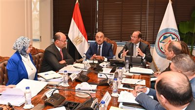 اجتماع مشترك بين وزيري قطاع الأعمال والمالية لبحث الاستغلال الأمثل لأصول الدولة