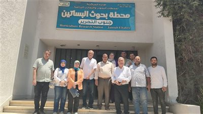 الزراعة تشكل لجان علمية ميدانية لرفع إنتاجية المحاصيل 