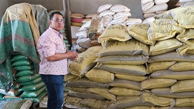 صحة الدقهلية تضبط أكثر من 52 طن أغذية فاسدة 