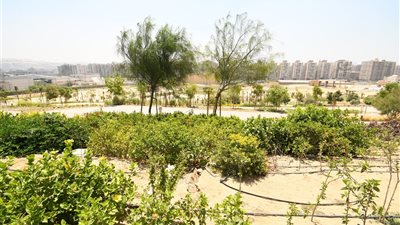 وزير الإسكان يتفقد مكونات مشروع حدائق 