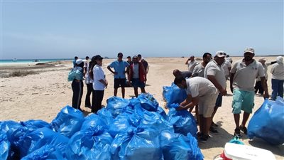 وزارة البيئة تنظم حملة نظافة موسعة بشواطئ جزيرة أبو منقار