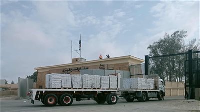 20 شاحنة مساعدات إماراتية تعبر رفح في طريقها إلى غزة 