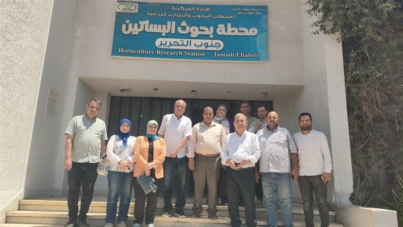 لجان وزارة الزراعة