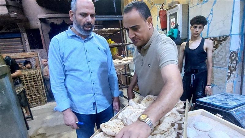 حملات تموينية بالدقهلية،