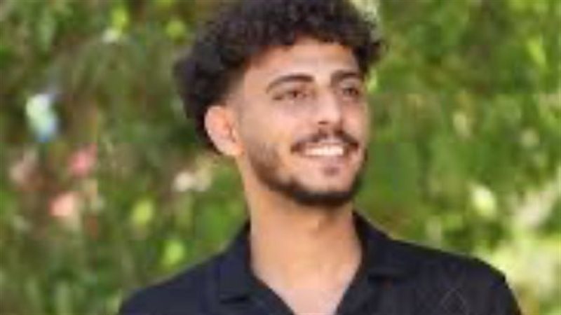 الرسام داني تاتو،