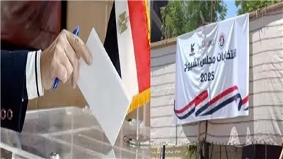 اليوم، الإدارية العليا تبدأ في نظر طعون نتيجة انتخابات مجلس الشيوخ 2025