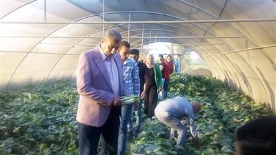  الإرشاد الزراعي بأسيوط يدرب المزارعين على إنتاج السماد الحيوي 