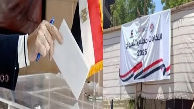  انتخابات مجلس الشيوخ،