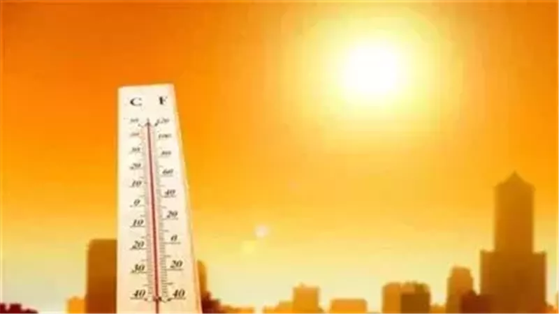 حالة الطقس غدا، فيتو