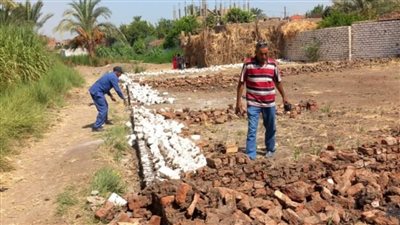 إزالة 3 حالات تعد بالبناء المخالف على الأرض الزراعية بقنا (صور)