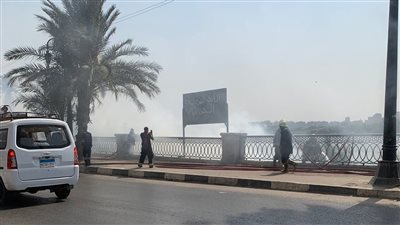 اندلاع حريق في أشجار بكورنيش المعادي والحماية المدنية تكافح لإخماده (صور)