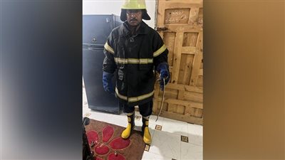 الأجهزة الأمنية تعلن السيطرة على ثعبان تسلل لشقة سكنية بالمنوفية
