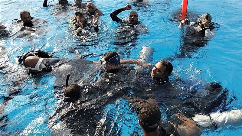 لحظة خروج ولاء حافظ