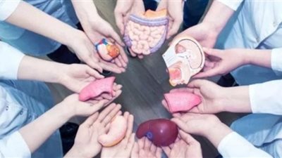 الإفتاء توضح مدى التحذير من التعرُّض لجسد الإنسان وأعضائه بالبيع والشراء