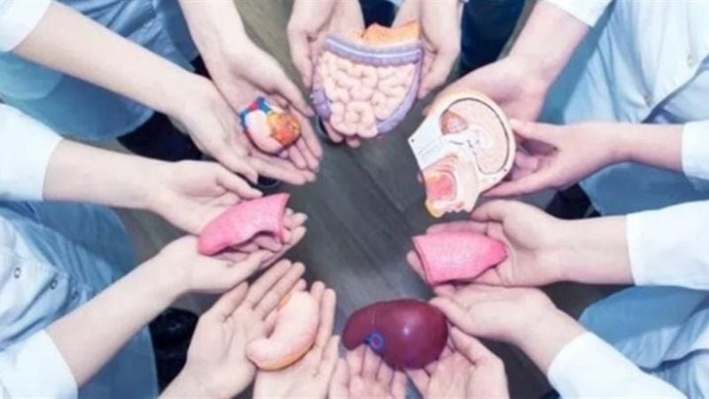 تجارة الأعضاء البشرية،فيتو