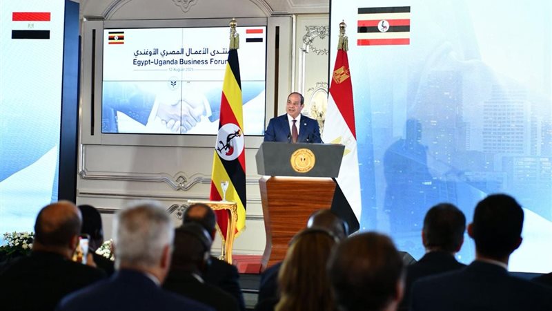 الرئيس عبد الفتاح