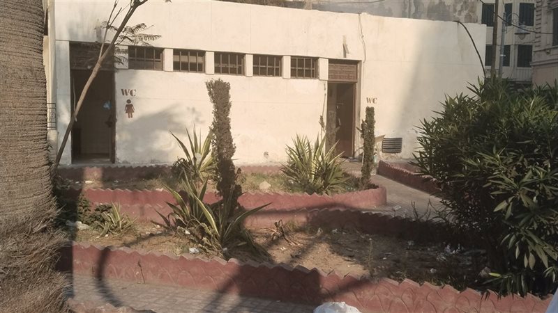 الإسكندرية، فيتو